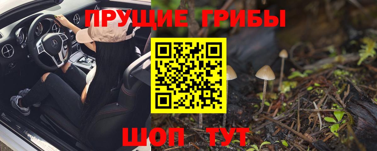 Псилоцибиновые грибы Psilocybine cubensis  Вход с VPN  Зеленогорск 
